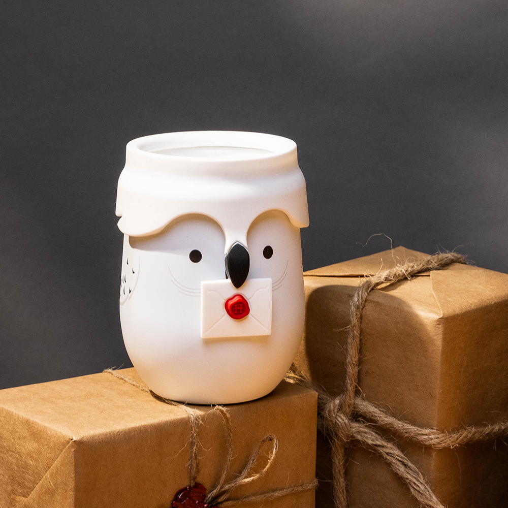 harry-potter-stemless-e4 da329e4f7c5d--Hedwig-Lifestyle-3.png