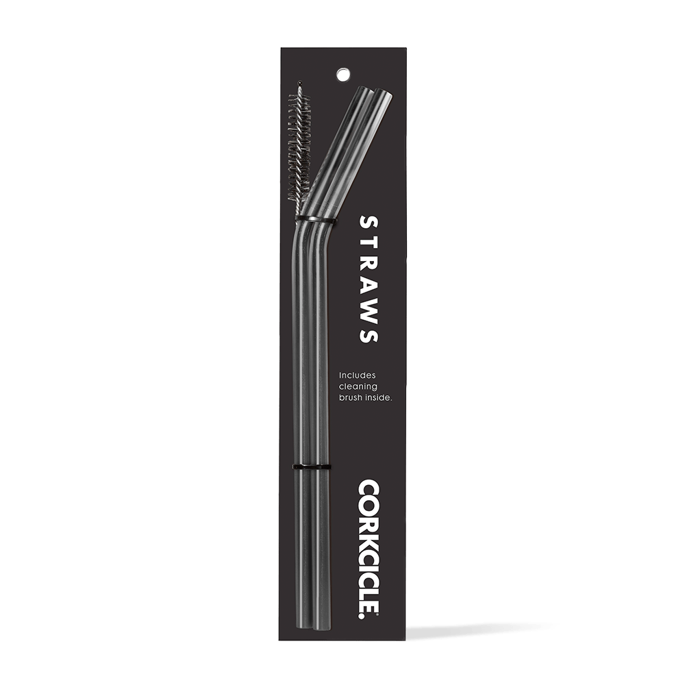 tumbler-straw-2-pack-d4 gunmetal.png